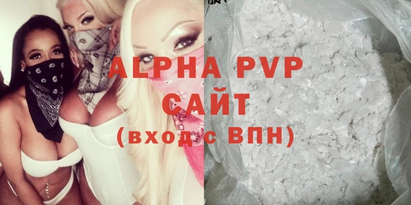 гашик Анжеро-Судженск